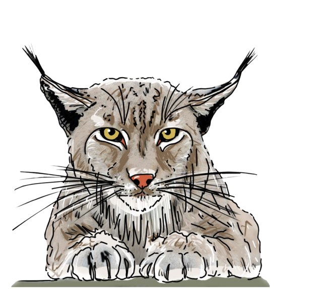 Imagen del cuento de Pablo