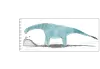 ""