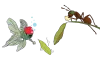 ""