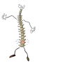 ""