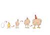 ""